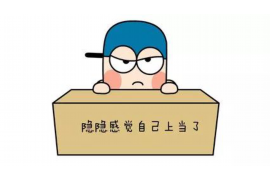 临潼为什么选择专业追讨公司来处理您的债务纠纷？